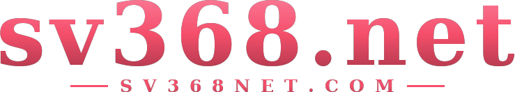 sv368.net logo
